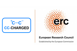 ERC Logo ERC