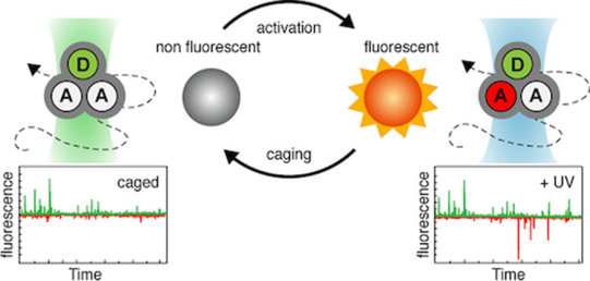 Graphic illustration Graphic illustration