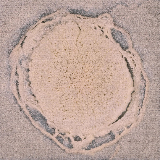 Cross section after measurement Cross section after measurement