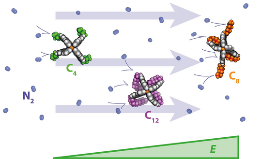 Graphic illustration Graphic illustration