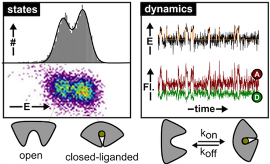 Graphic illustration Graphic illustration