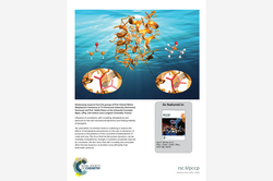 Cover Physical Chemistry Chemical Physics 2017, 19, 14230 Cover Physical Chemistry Chemical Physics 2017, 19, 14230