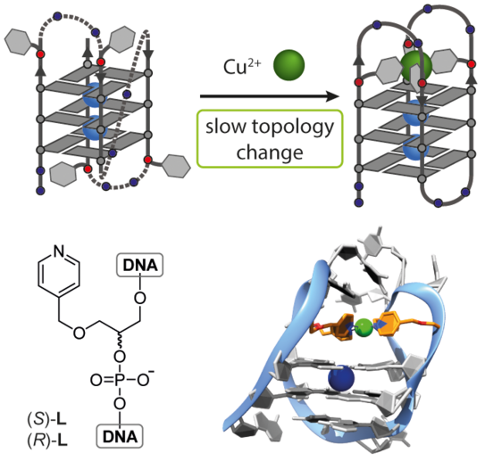 Highlight Publications 2017-04