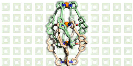 Cage Assembly Cage Assembly