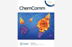 Cover ChemComm 2020, 56, 78 Cover ChemComm 2020, 56, 78