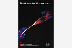 Cover The Journal Of Neuroscience 2003-23-29