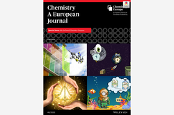 Cover Chemistry A European Journal 48/2020 Cover Chemistry A European Journal 48/2020