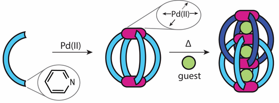 Highlight Publications 2016-02