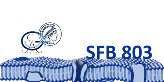 Logo SFB 803 Logo SFB 803