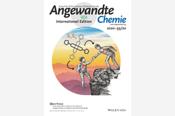 Cover Angewandte Chemie 2020-59/20 Cover Angewandte Chemie 2020-59/20