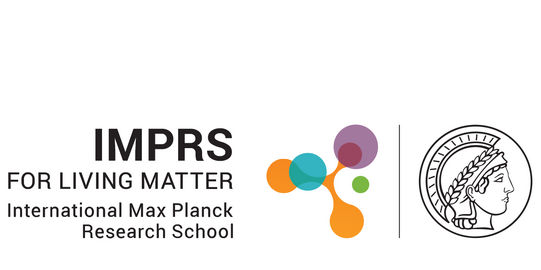 Logo IMPRS Logo IMPRS