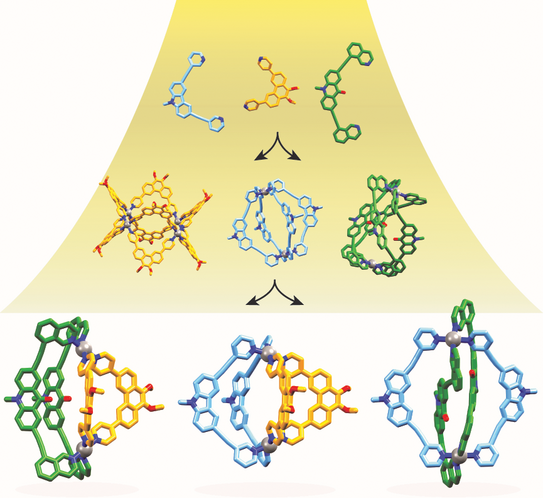 Highlight Publications 2017-01