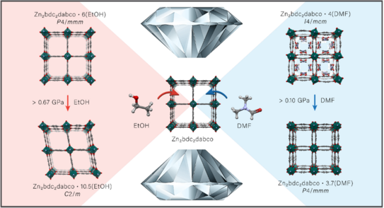 Schematic illustration for publication Schematic illustration for publication