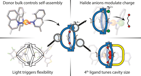 Quinoline-based cages with photoswitchable ligands