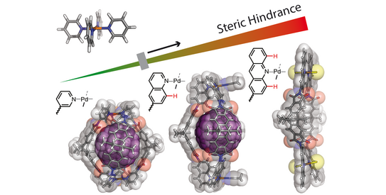 Highlight Publications 2019-09 Schematic representation of the effect of steric hindrance around the coordination environment in bis-monodentate ligands leading to different coordination products acting as host structures for fullerene binding.