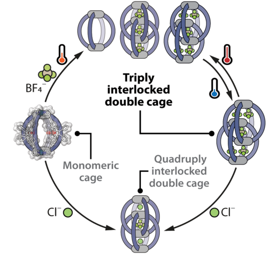 Graphic illustration Graphic illustration