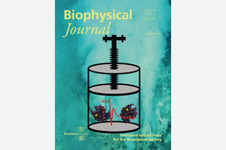 Cover Biophysical Journal Cover Biophysical Journal