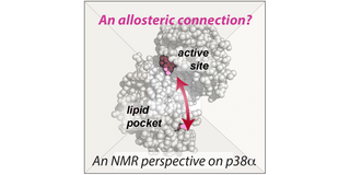 Graphical abstract Graphical abstract
