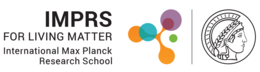 Logo IMPRS-LM