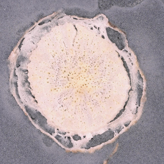Cross section after matrix coating Cross section after matrix coating