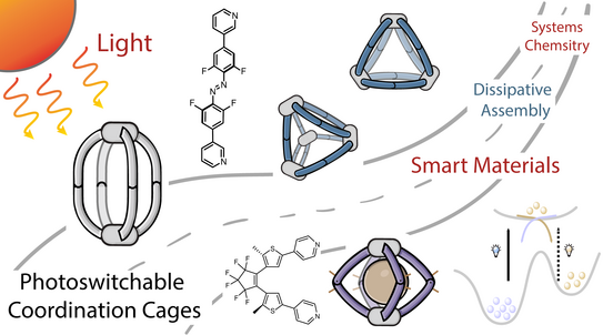 Overview picture with several photoswitchable cages