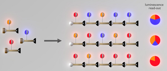 TOC showing solid phase synthesis of heterooligonuclear lanthanide complexes