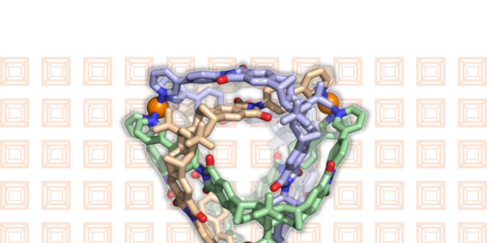 Selective Recognition Selective Recognition