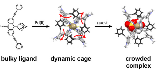 Highlight Publications 2016-01