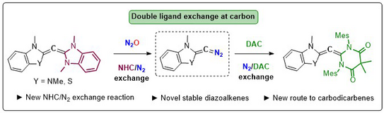 Graphic illustration Graphic illustration