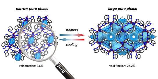 Graphical abstract Graphical abstract
