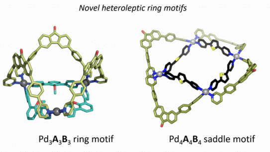 Graphic illustration for publication Graphic illustration for publication