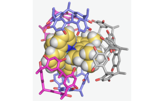 Picture of a iridium complex inside a resorcin capsule
