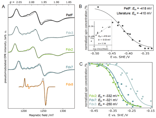 Picture showing electron-spin echo EPR