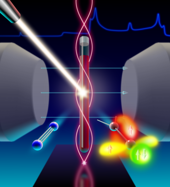 Cover picture showing a Triplet Vinylidene