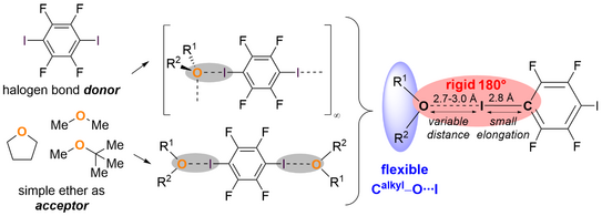 Grafikillustration Grafikillustration