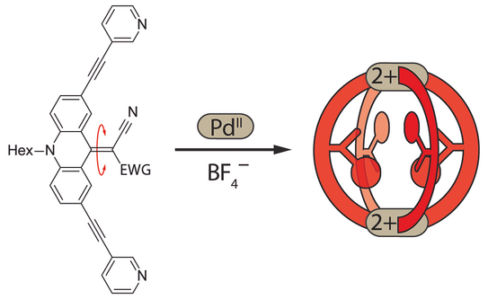 Highlight Publications 2016-05