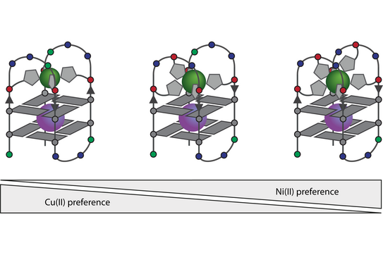 Schematic illustration Schematic illustration