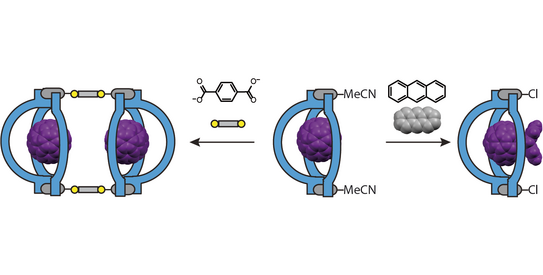 Highlight Publications 2019-05 Schematic representation of a bowl-shaped coordination compound that binds fullerene and acts as a supramolecular protecting group to control functionalization.