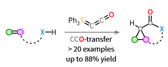 Grafic illustration Grafic illustration