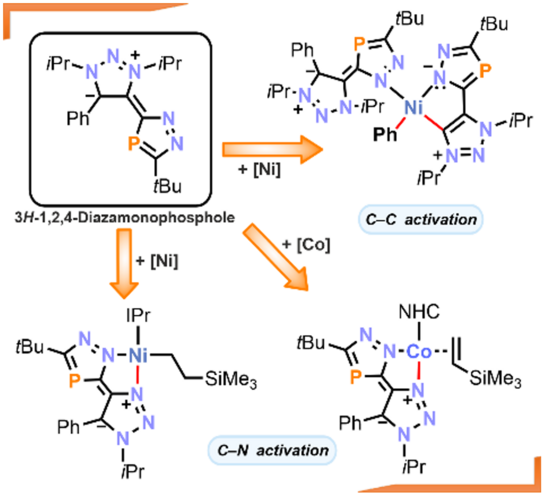 Grafic illustration Grafic illustration