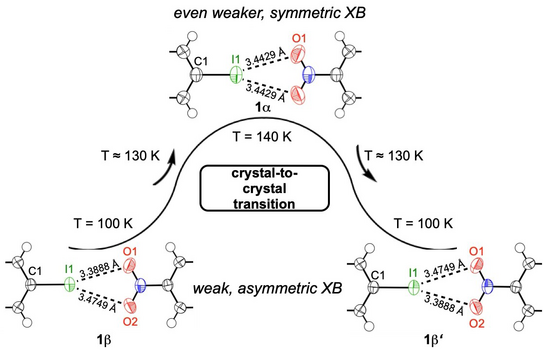 Grafikillustration Grafikillustration