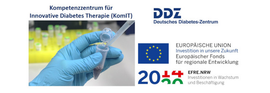 KomIT DDZ-Logo und EFRE-Förderhinweise