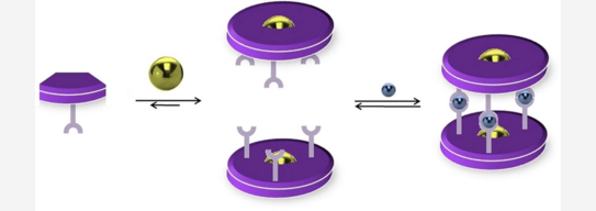 Cartoon showing the formation of hierarchically lithium-bridged titanium(IV) helicates