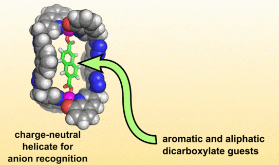 TOC figure showing the size selectivity of a charge-neutral zinc(II) helicate towards dicarboxylate guests