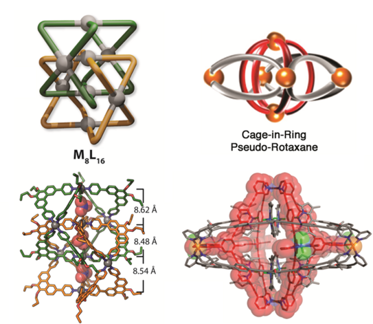 Picture of a cage-based catenane and a cage-in-ring pseudo rotaxane highlighted in the report.