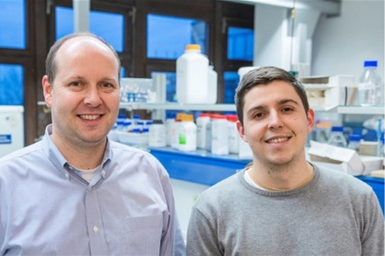 Portrait Guido Clever Portrait Guido Clever