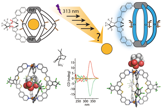 Highlight Publications 2019-02 Schematic representation, X-ray structures and CD spectra of a photochromic coordination cage interacting with a chiral guest.
