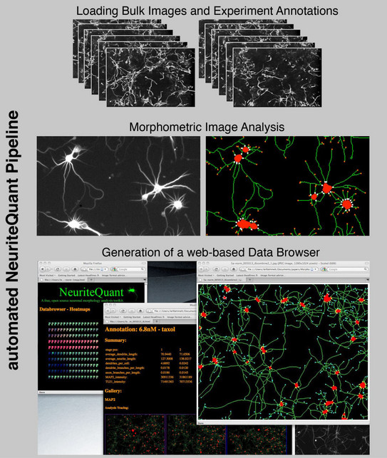 Grafikillustration Grafikillustration