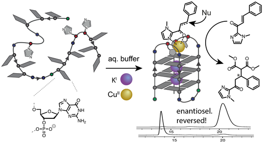 A metalloDNAzyme catalyzed reaction