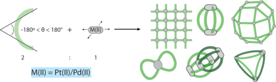 Highlight Publications 2018-05 Schematic representation of different coordination structures formed from palladium ions and bis-monodentate ligands.